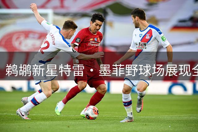 鹈鹕新星特雷·墨菲野球场展现全能身手 进攻端无解引热议